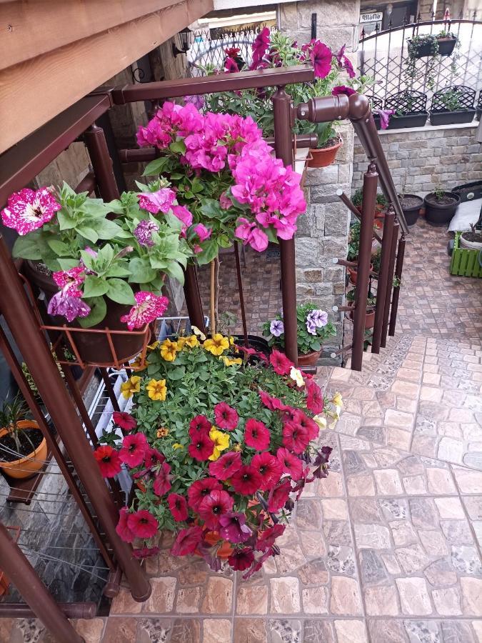 Hotel Damaris Sozopol Exterior foto
